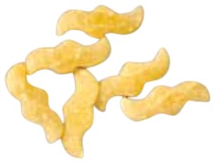 Pastina 10mm, die 253