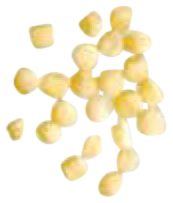Pastina 2.5mm, die 346